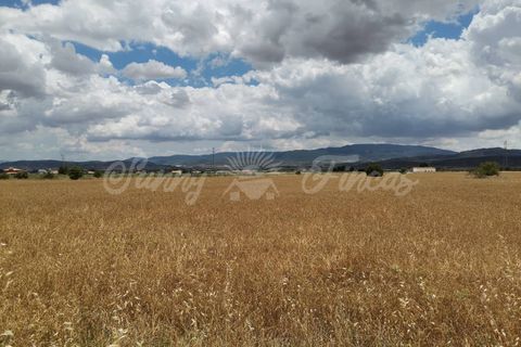 Helårsgrund i Yecla, Murcia, Yecla - € 32.900 | Ref: SF0321 - foto 2